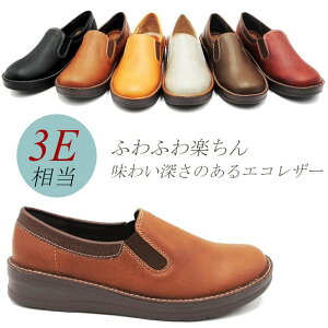 Xb| fB[X Xj[J[ [Jbg RȂ L 3E y RtH[g  JWAV[Y TChSA S  ubN uE L