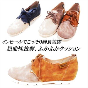 Xj[J[ fB[X JWAV[Y Cq[  tbg RtH[gV[Y R C  Xb| y i` JWA