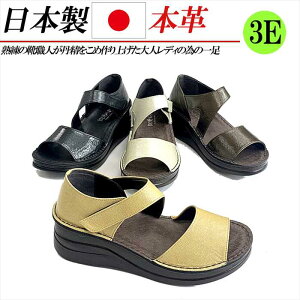 { {v T_ fB[X EFbWq[  L 3E Xgbv U[ RtH[gT_ fB[XT_   ubN uE CG[