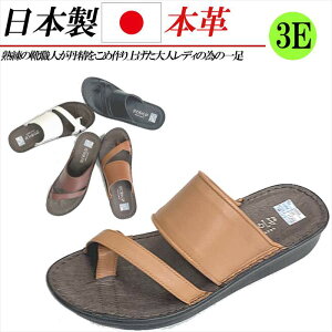 { {v T_ fB[X  tbg gOT_ T{T_ tbgT_ U[ RtH[gT_ 3E L  ubN  zCg