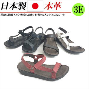 { {v T_ fB[X EFbWq[ tbg ɂȂ ₷ RtH[gT_ Xgbv U[ fB[XT_ L 3E y