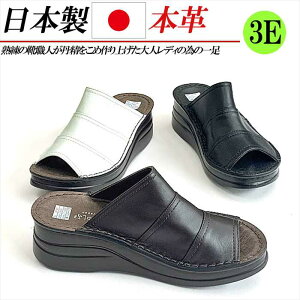 { {v T_ fB[X  tbg T{T_ tbgT_ U[ RtH[gT_ 3E Xbp   ubN zCg uE