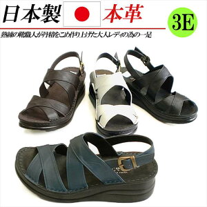 { {v T_ fB[X EFbWq[  L 3E Xgbv NX U[ RtH[gT_ fB[XT_   ubN uE