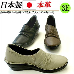 { {v Xb| fB[X v RtH[gV[Y L 3E y TChSA U[ Xj[J[ [Jbg  ubN O[ uE