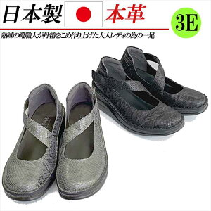 { {v RtH[gpvX EFbW  tbg xN Xgbv ₷ ɂȂ L 3E  ubN O[ pC\ Xl[N