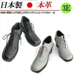 { {v u[eB fB[X U[ V[gu[c EFbWq[ [XAbv RtH[g JWA V[Y b L 3E p`O  O[