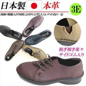 { {v Xj[J[ fB[X 3E 4E L U[ RtH[gV[Y Xb| SR Xj[J[ [Jbg v JWAV[Y