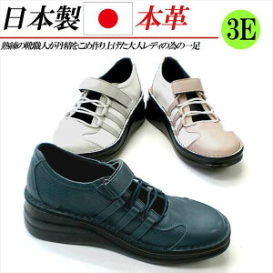 { {v Xj[J[ fB[X EH[LOV[Y L 3E 4E RtH[gV[Y U[Xj[J[ [Jbg S R JWAV[Y