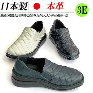 { {v Xb| fB[X v RtH[gV[Y L 3E y  EFbW TChSA U[ JWAV[Y LeBO   lCr[