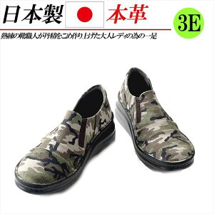 { {v Xb| fB[X v RtH[gV[Y L 3E 4E y  EFbW\[ TChSA JWAV[Y  J[L