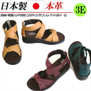 { {v T_ fB[X U[ u[cT_ L 3E 4E RtH[gT_  EFbWq[ v OfBG[^[ T}[u[c NX