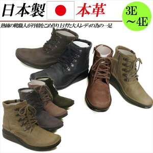 { {v V[gu[c fB[X u[c EFbW  L 3E 4E [XAbvu[c U[u[c V[g [XAbv gbLOV[Y