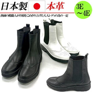 { {v TChSAu[c fB[X V[gu[c [q[ ECO`bv _I u[c TChSA 3E 4E L  ubN  zCg