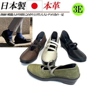 { {v pvX EFbW L 3E EhgD S Xgbv RtH[gpvX ₷ ɂȂ  ubN uE O[W O[