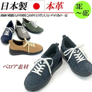 { {v Xj[J[ [Jbg fB[X U[Xj[J[ xA R [XAbv L 3E 4E RtH[g C O[ lCr[ L J[L