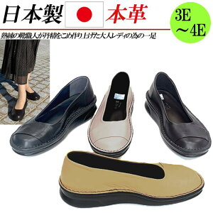 { {v pvX tbg 3cm [q[ L 3E 4E U[ tbgpvX y RtH[g EhgD  ubN CG[ uE sN