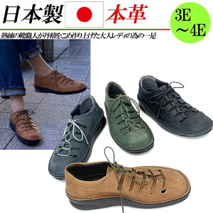 { {v Xj[J[ [Jbg R fB[X RtH[gV[Y L 4E U[ fB[XXj[J[  ubN lCr[ O[ uE