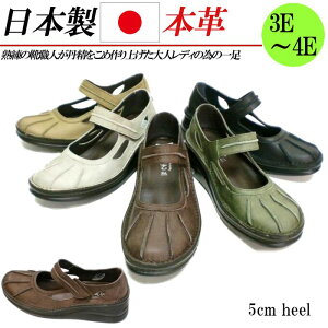 { {v pvX EFbWq[ RtH[gV[Y v Xgbv ₷ 5cm q[ L 3E 4E  ubN uE O[ O[W