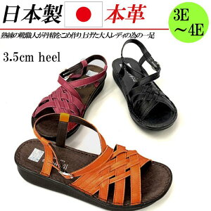 { {v T_ fB[X [q[ tbg 3.5cm L 3E Xgbv ҂ݍ U[ RtH[gT_  ubN IW C