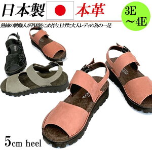 { {v T_ fB[X XgbvT_ L 3E 4E S EFbW 5cm  U[ xA RtH[gT_  ubN O[ IW