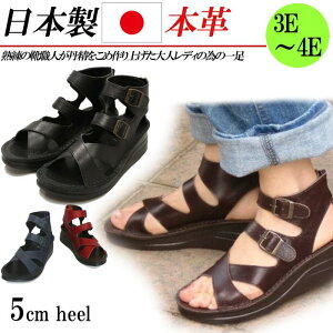 { {v OfBG[^[ T_ fB[X u[cT_ EFbW 5cm  U[ NX 3E 4E L  ubN uE bh u[