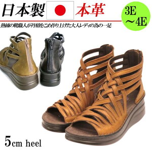 { {v ҂ݍ T_ NXT_ 3E 4E EFbW 5cm  U[ OfBG[^[ fB[X u[cT_ L  ubN uE