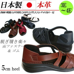 { {v T_ fB[X NXT_ L 3E 4E Xgbv EFbW 5cm  U[ ҂ݍ RtH[gT_ S xN