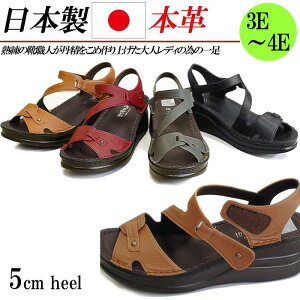 { {v T_ fB[X XgbvT_ L 3E 4E S EFbW 5cm  U[ RtH[gT_ xN  ubN L O[