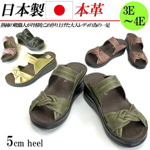 { {v T_ fB[X ~[ T{  5cm tbg T{T_ U[ RtH[gT_ 3E 4E {  ubN CG[ sN