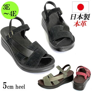 { {v T_ fB[X XgbvT_ L 3E 4E S EFbW 5cm  U[ xA RtH[gT_  ubN bh O[