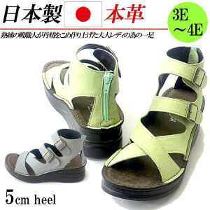 { {v OfBG[^[ T_ fB[X u[cT_ EFbW 5cm  U[ NX 3E 4E L O[ O[