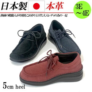 { {v xA Xj[J[ [Jbg fB[X U[Xj[J[ R [XAbv L 3E 4E RtH[g C  ubN lCr[ bh