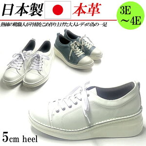 { {v Xj[J[ [Jbg R fB[X RtH[gV[Y L 4E U[ fB[XXj[J[ zCg\[