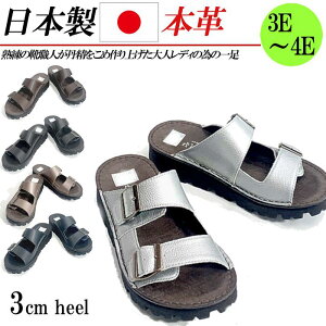 { {v T_ 3E 4E L fB[X T{  tbg 3cm T{T_ RtH[gT_ Xbp