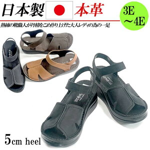 { {v T_ fB[X EFbWq[ 5cm  L 3E 4E Xgbv U[ RtH[gT_