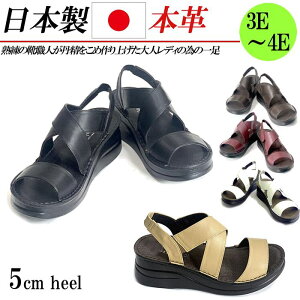 { {v T_ fB[X EFbWq[ 5cm  L 3E 4E S Xgbv U[ RtH[gT_ JWA v