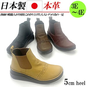 { {v TChSAu[c fB[X V[gu[c EFbWq[ 5cm  L 3E 4E U[ u[c TChSA
