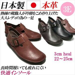 { {v RtH[gV[Y fB[X tbgV[Y L ₷ 3E JWAV[Y fB[XV[Y v Xb|  uE