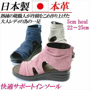 { {v T_ fB[X [q[  EFbWq[ U[ EFbWT_ I[vgD OfBG[^[ u[cT_ T}[u[c L