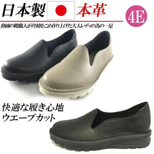 { {v Xb| fB[X RtH[gV[Y L 4E U[ Xj[J[ [Jbg JWAV[Y ₷  ubN O[