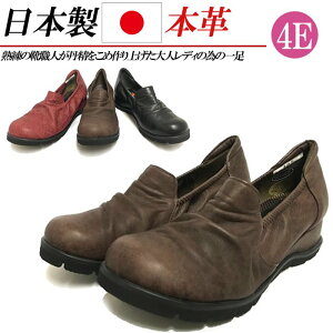 { {v Xb| L 4E RtH[gV[Y fB[X JWAV[Y U[ Xj[J[ S ₷  ubN uE bh 