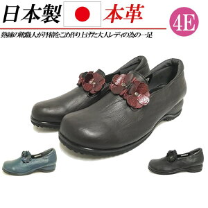 { {v Xb| L 4E RtH[gV[Y Xj[J[ fB[X JWAV[Y TChSA t[   ubN lCr[ uE