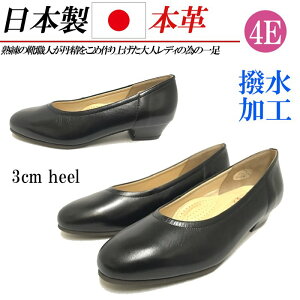 { {v pvX [q[ q[ ɂȂ L 4E O tH[}pvX  rWlXpvX RtH[gpvX  ubN 