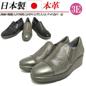 { {v Xb|  4.5cm fB[X RtH[gV[Y L 3E JWAV[Y S TChSA  ubN lCr[ ^bN