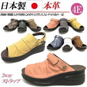 { {v T_ fB[X EFbW  4E L tbg 2way U[ RtH[gT_ fB[XT_ T{ Xgbv