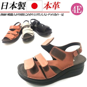 { {v T_ fB[X L 4E EFbW 5cm  U[ RtH[gT_ Xgbv }WbNe[v  ubN O[ sN