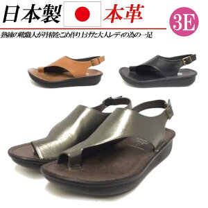 { {v gOT_ fB[X T_ Xgbv [q[ L 3E U[ RtH[gT_  ubN L XeB[