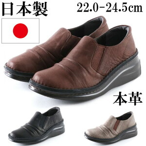 { {v RtH[gV[Y Xb| fB[X JWAV[Y  ₷ ɂȂ L TChSA Xj[J[ 傫TCY