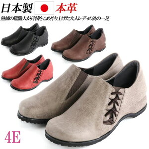 { {v RtH[gV[Y Xb| fB[X Xj[J[ TChSA JWAV[Y  ₷ ɂȂ L 4E