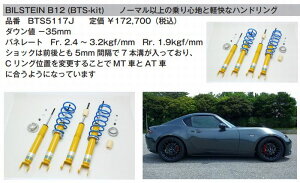 NDERC[hX^[RF BILSTEINrV^CB12 (BTS-kit)(m[}`󃍁[_ETXyVLbg iBTS5117J㕥si